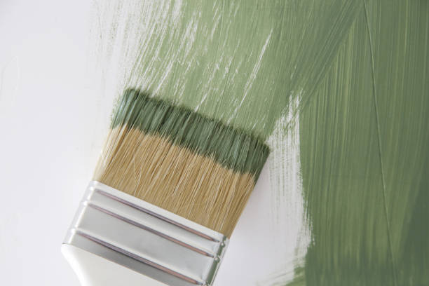 Mold Documentation for Insurance Claims in Raton, NM