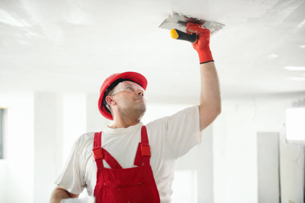 Best Attic Mold Removal  in Raton, NM
