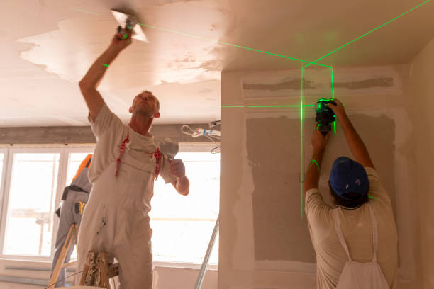 Best Commercial Mold Inspection  in Raton, NM
