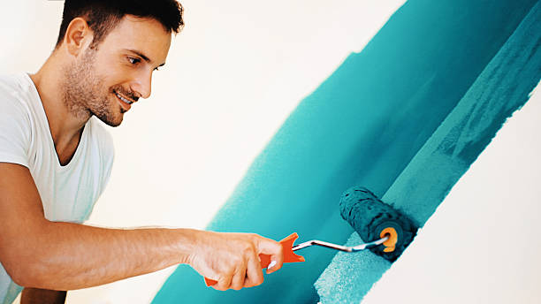 Best Mold Documentation for Insurance Claims  in Raton, NM