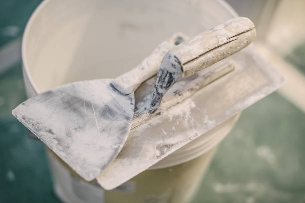 Best Air Quality Testing for Mold Spores  in Raton, NM
