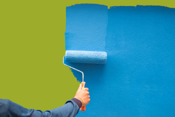 Best Mold Remediation for Healthcare Facilities  in Raton, NM